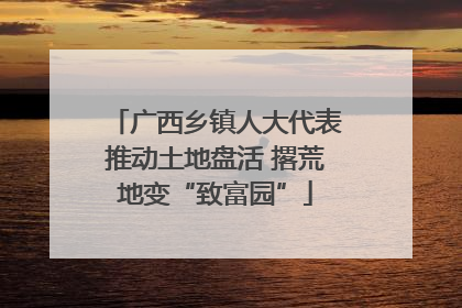 广西乡镇人大代表推动土地盘活 撂荒地变“致富园”