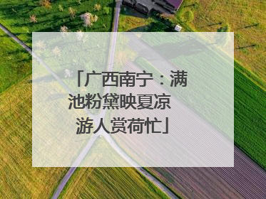 广西南宁：满池粉黛映夏凉 游人赏荷忙