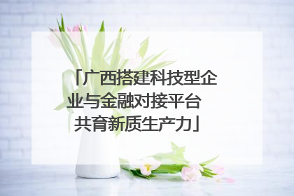 广西搭建科技型企业与金融对接平台 共育新质生产力