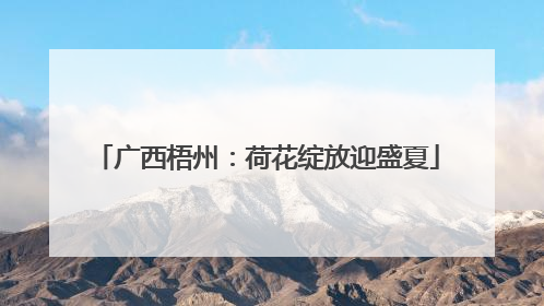 广西梧州：荷花绽放迎盛夏