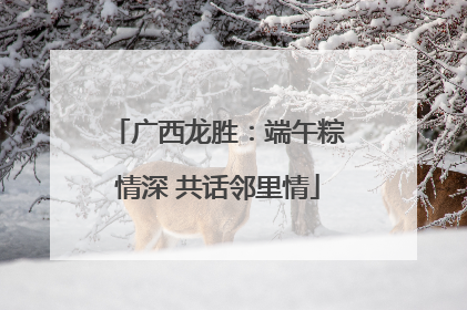 广西龙胜：端午粽情深 共话邻里情