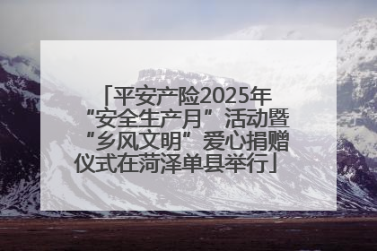 平安产险2025年“安全生产月”活动暨“乡风文明”爱心捐赠仪式在菏泽单县举行