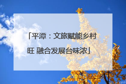 平潭：文旅赋能乡村旺 融合发展台味浓
