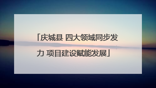庆城县 四大领域同步发力 项目建设赋能发展