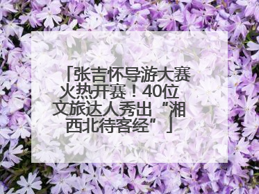 张吉怀导游大赛火热开赛！40位文旅达人秀出“湘西北待客经”