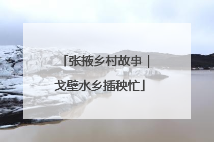 张掖乡村故事｜戈壁水乡插秧忙