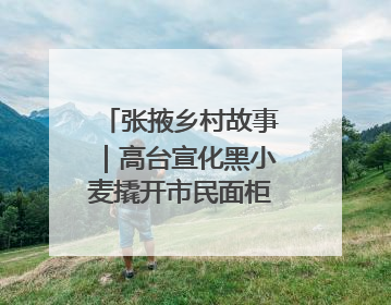 张掖乡村故事｜高台宣化黑小麦撬开市民面柜子 石磨激活村集体钱匣子