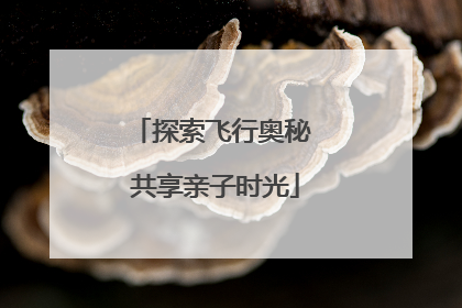 探索飞行奥秘 共享亲子时光