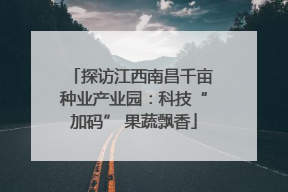 探访江西南昌千亩种业产业园：科技“加码” 果蔬飘香