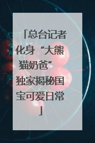 总台记者化身“大熊猫奶爸” 独家揭秘国宝可爱日常