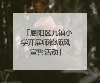 恩阳区九镇小学开展师德师风宣誓活动