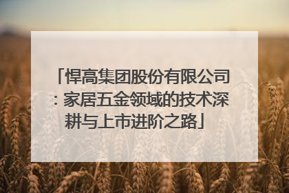悍高集团股份有限公司：家居五金领域的技术深耕与上市进阶之路