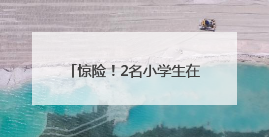 惊险！2名小学生在铁轨摆石头逼停高铁