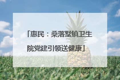 惠民：桑落墅镇卫生院党建引领送健康