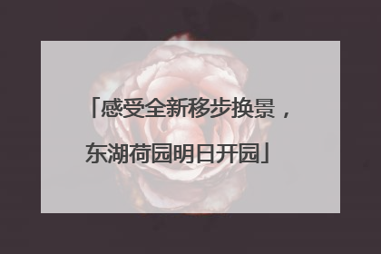 感受全新移步换景，东湖荷园明日开园