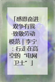 感恩奋进 双争有我·致敬劳动模范｜李宁：行走在高空的“电网卫士”