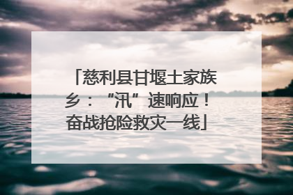 慈利县甘堰土家族乡：“汛”速响应！奋战抢险救灾一线