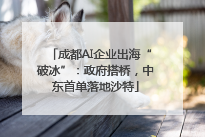 成都AI企业出海“破冰”：政府搭桥，中东首单落地沙特