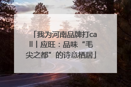 我为河南品牌打call丨应旺：品味“毛尖之都”的诗意栖居