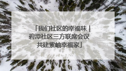 我们社区的幸福味｜碧潭社区三方联席会议共建紫岫幸福家