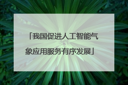 我国促进人工智能气象应用服务有序发展