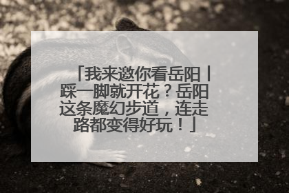 我来邀你看岳阳丨踩一脚就开花？岳阳这条魔幻步道，连走路都变得好玩！