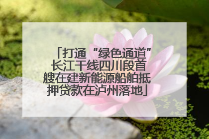 打通“绿色通道” 长江干线四川段首艘在建新能源船舶抵押贷款在泸州落地