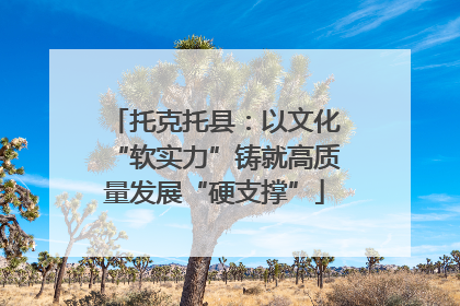 托克托县：以文化“软实力”铸就高质量发展“硬支撑”