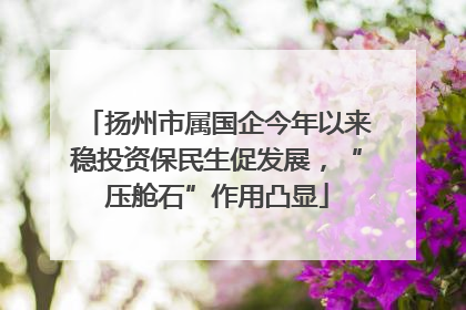 扬州市属国企今年以来稳投资保民生促发展，“压舱石”作用凸显