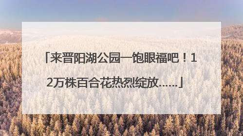 来晋阳湖公园一饱眼福吧！12万株百合花热烈绽放……