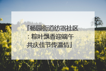 杨园街道纺器社区：粽叶飘香迎端午 共庆佳节传温情