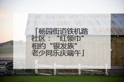 杨园街道铁机路社区：“红领巾”相约“银发族” 老少同乐庆端午