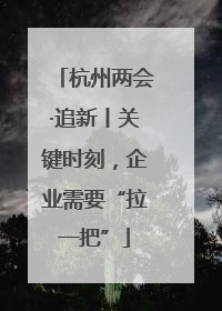 杭州两会·追新丨关键时刻，企业需要“拉一把”