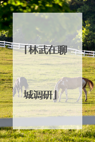 林武在聊城调研
