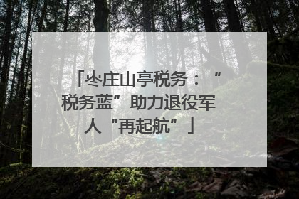 枣庄山亭税务：“税务蓝”助力退役军人“再起航”