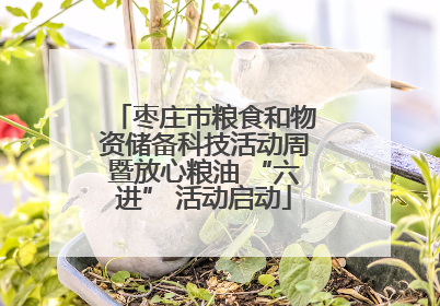 枣庄市粮食和物资储备科技活动周暨放心粮油 “六进” 活动启动