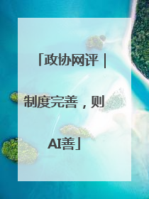 政协网评｜制度完善，则AI善