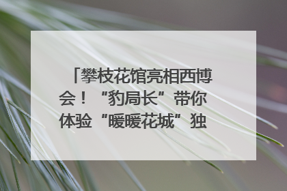 攀枝花馆亮相西博会！“豹局长”带你体验“暖暖花城”独特魅力｜西博视界