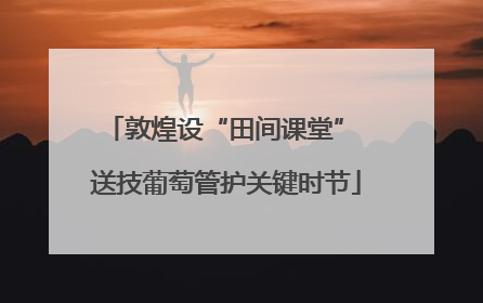 敦煌设“田间课堂” 送技葡萄管护关键时节