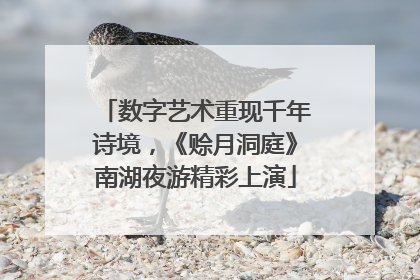 数字艺术重现千年诗境，《赊月洞庭》南湖夜游精彩上演