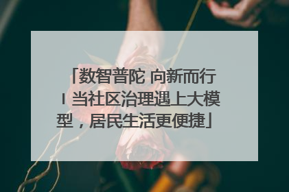 数智普陀 向新而行〡当社区治理遇上大模型，居民生活更便捷