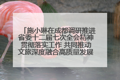 施小琳在成都调研推进省委十二届七次全会精神贯彻落实工作 共同推动文旅深度融合高质量发展 加快打造支柱产业民生产业幸福产业