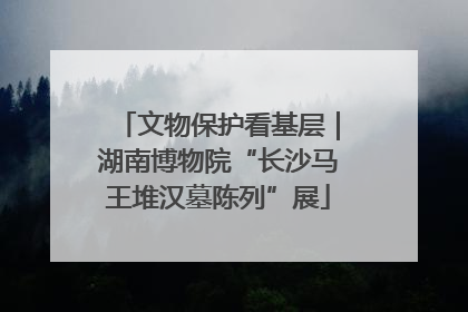 文物保护看基层｜湖南博物院“长沙马王堆汉墓陈列”展
