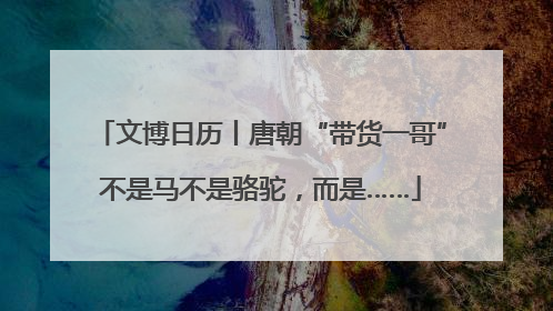 文博日历丨唐朝“带货一哥”不是马不是骆驼，而是……