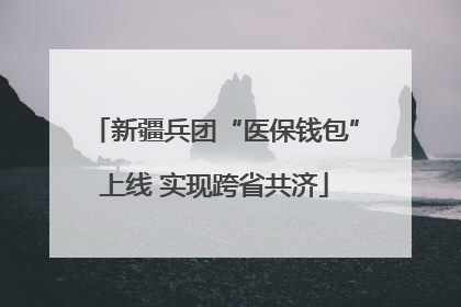 新疆兵团“医保钱包”上线 实现跨省共济