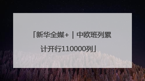 新华全媒+｜中欧班列累计开行110000列