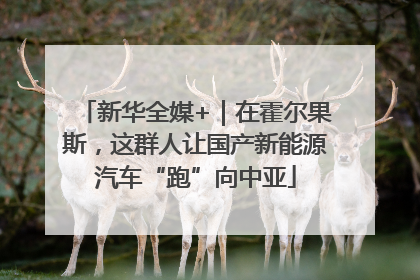 新华全媒+｜在霍尔果斯，这群人让国产新能源汽车“跑”向中亚