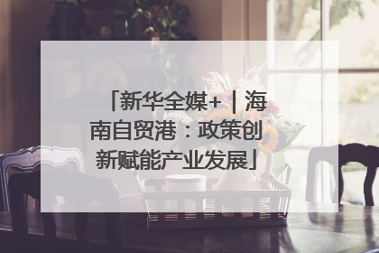 新华全媒+｜海南自贸港：政策创新赋能产业发展