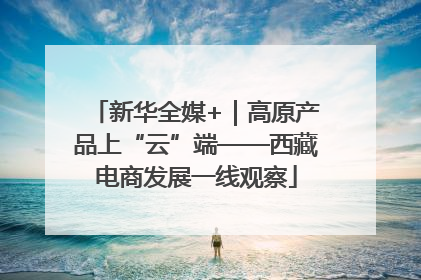 新华全媒+｜高原产品上“云”端——西藏电商发展一线观察