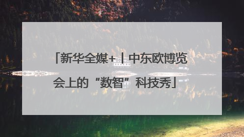 新华全媒+丨中东欧博览会上的“数智”科技秀